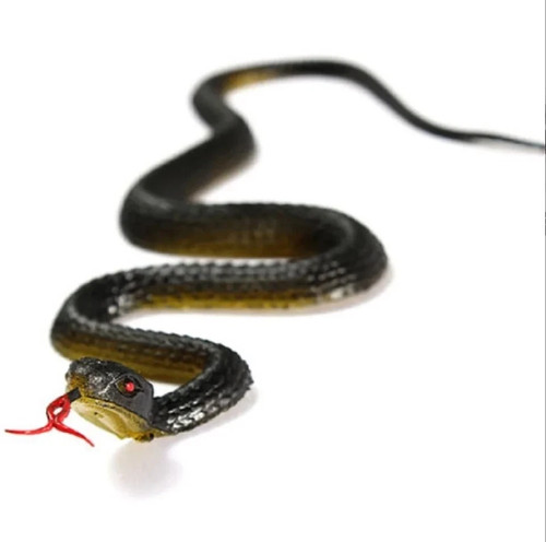 Fake rubber snake toy - snake, toy,